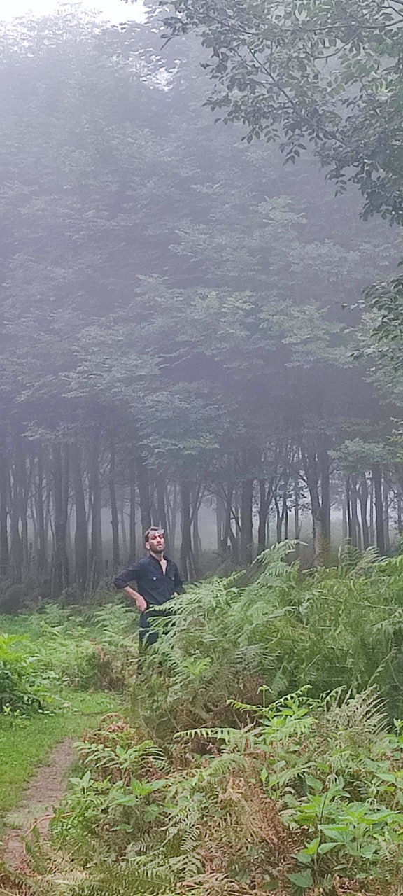 Lost in the mist